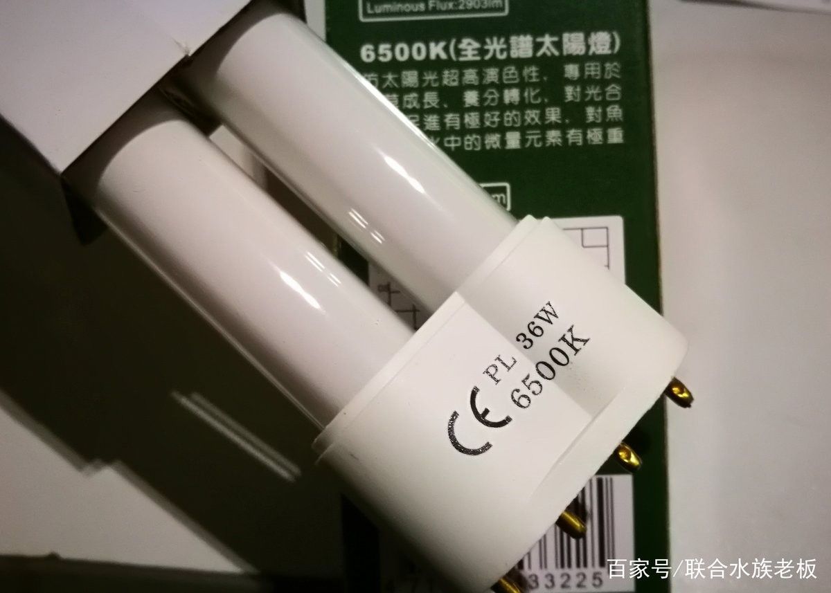 6000k魚缸照明燈（6000k色溫的魚缸照明燈）