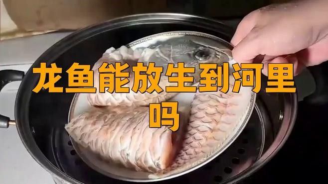 如何合法地放生龍魚？（/龜池門票多少錢/龜池門票多少錢）