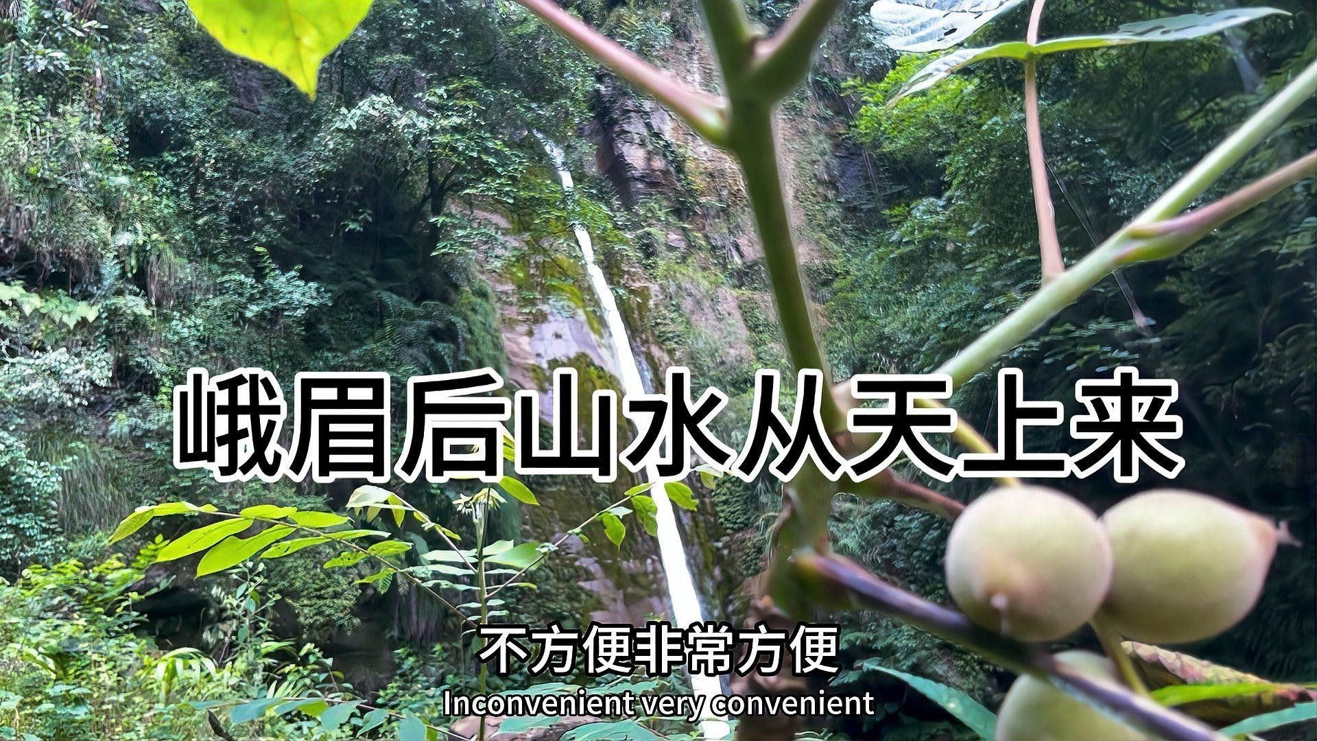 峨眉山冷水魚是什么魚（峨眉山冷水魚是指哪些魚） 峨眉山冷水魚是什么魚（峨眉山冷水魚是指哪些魚） 觀賞魚百科 第3張