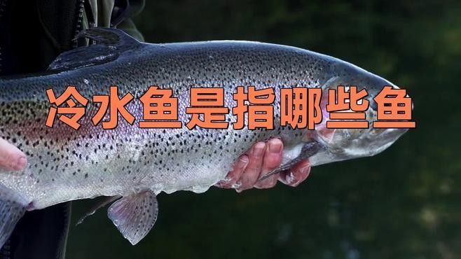 峨眉山冷水魚是什么魚（峨眉山冷水魚是指哪些魚） 峨眉山冷水魚是什么魚（峨眉山冷水魚是指哪些魚） 觀賞魚百科 第2張