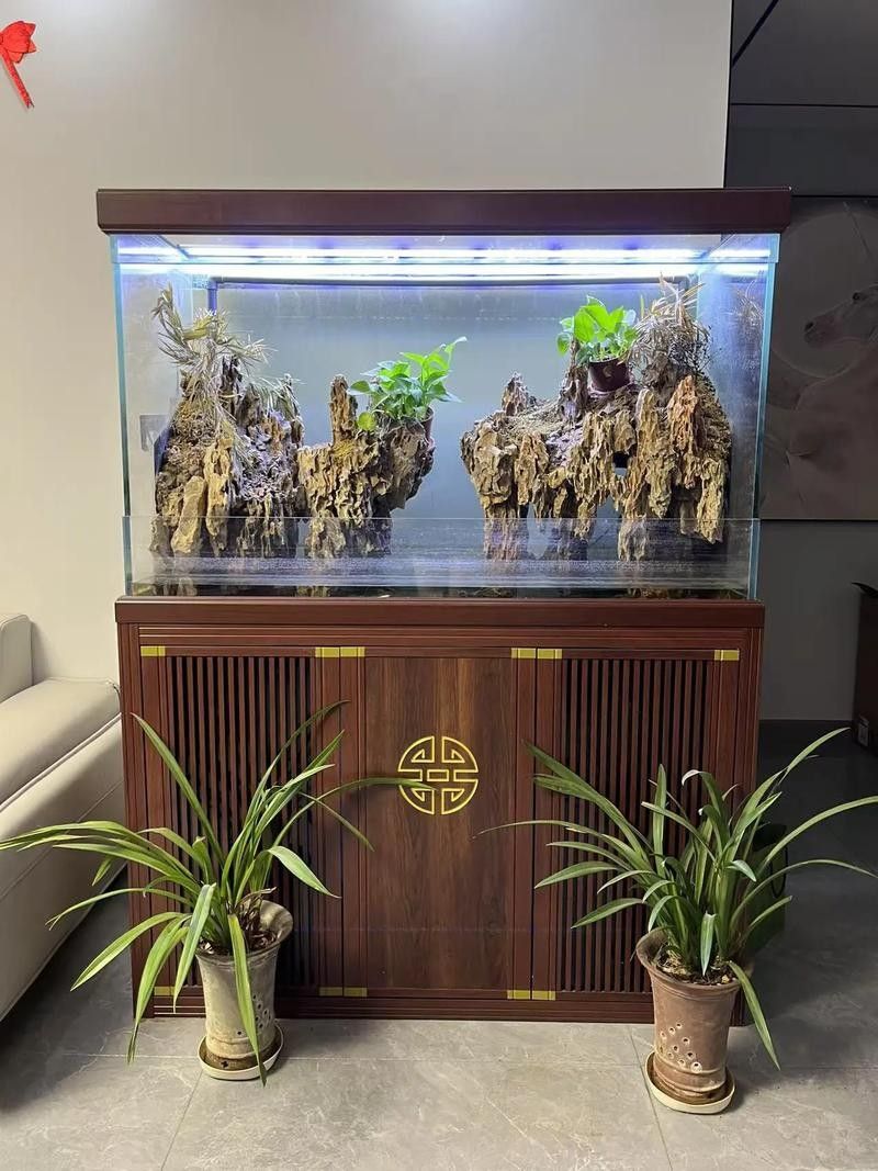 給我一些紅老虎魚和金龍魚混養的圖片（紅老虎魚與金龍魚混養的圖片資源及相關混養建議）