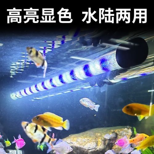 森森LED燈有哪些顏色可選（森led燈以其豐富的顏色選擇和卓越的照明效果廣受好評）
