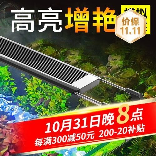森森LED燈有哪些顏色可選（森led燈以其豐富的顏色選擇和卓越的照明效果廣受好評）