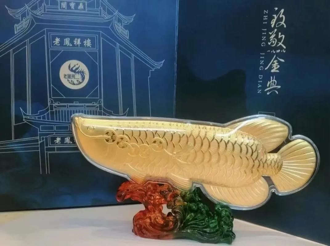 老鳳祥金龍魚有哪些款式可選（老鳳祥金龍魚款式介紹）