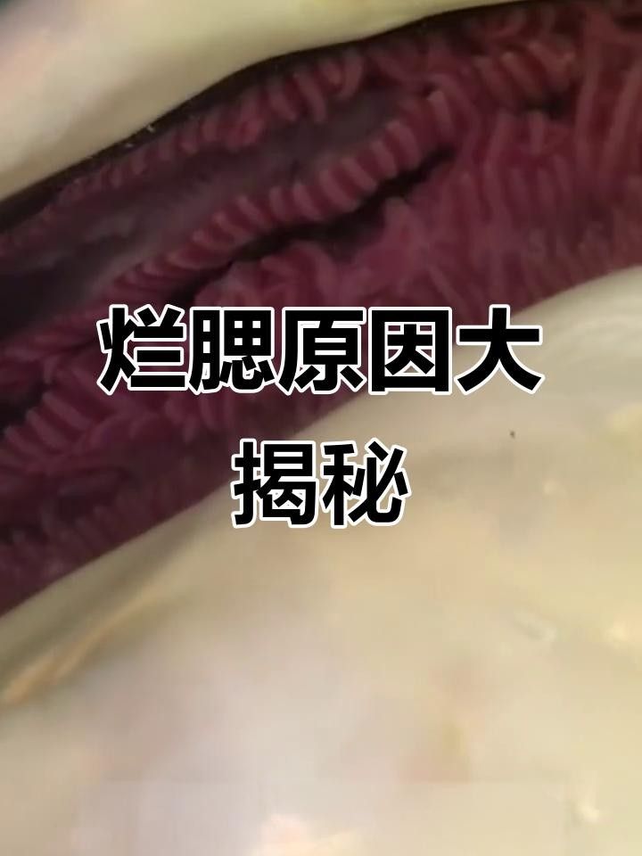 鰓蓋有洞要警惕三種病（魚(yú)類(lèi)鰓蓋有洞要警惕三種病，魚(yú)鰓蓋有洞要警惕三種病）