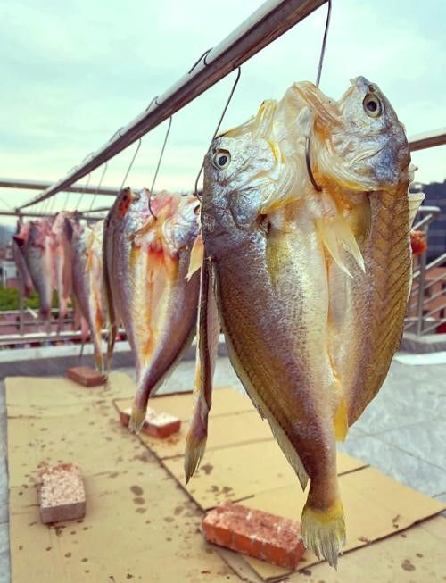 溫嶺特產龍頭魚干（浙江溫嶺特產龍頭魚干排行榜京東聽龍頭魚干有哪些品牌推薦）