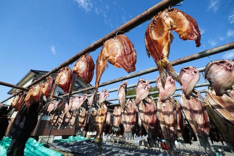 溫嶺特產龍頭魚干（浙江溫嶺特產龍頭魚干排行榜京東聽龍頭魚干有哪些品牌推薦）