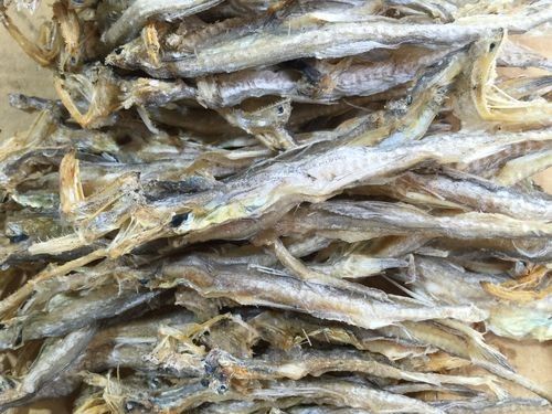 溫嶺特產龍頭魚干（浙江溫嶺特產龍頭魚干排行榜京東聽龍頭魚干有哪些品牌推薦）