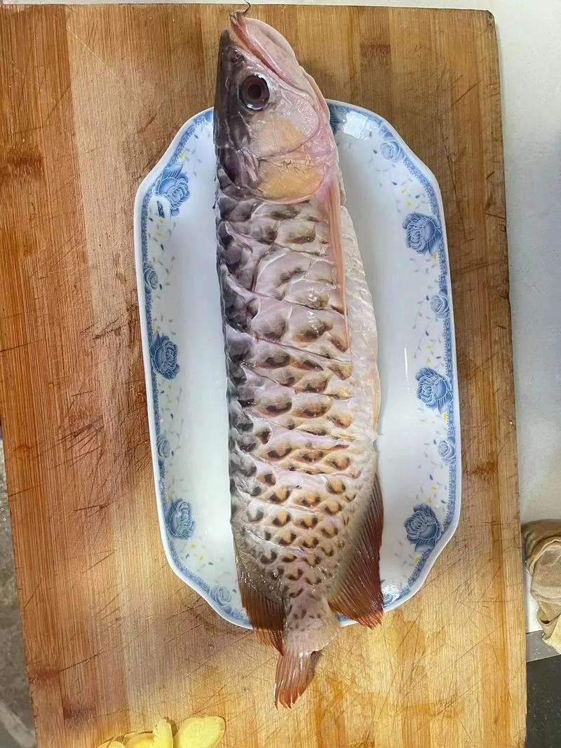 紅龍魚好吃嗎（紅龍魚是一種受歡迎的觀賞魚，實際上并沒有直接的答案）