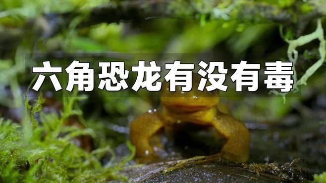 被六角恐龍魚咬了需要打疫苗嗎