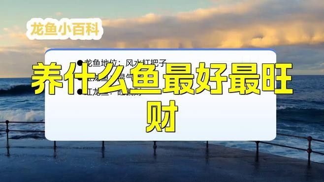 招財龍魚適合什么水質（招財龍魚水質要求高嗎招財龍魚水質要求高嗎）