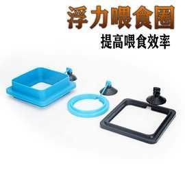 金龍魚(yú)批發(fā)市場(chǎng)主要經(jīng)營(yíng)哪些產(chǎn)品？