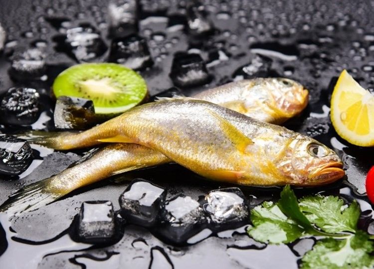 小金龍魚的功效與作用