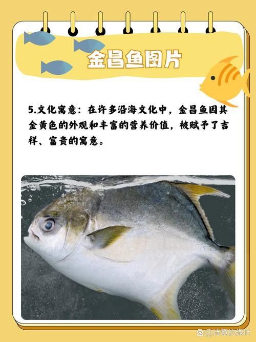 黃鰭鯧魚最建議買的三個(gè)品種(黃鰭鯧魚中三個(gè)值得關(guān)注的品種并結(jié)合了相關(guān)的選購建議和商品信息) 觀賞魚百科 第4張 黃鰭鯧魚最建議買的三個(gè)品種(黃鰭鯧魚中三個(gè)值得關(guān)注的品種并結(jié)合了相關(guān)的選購建議和商品信息) 黃鰭鯧魚最建議買的三個(gè)品種(黃鰭鯧魚中三個(gè)值得關(guān)注的品種并結(jié)合了相關(guān)的選購建議和商品信息) 觀賞魚百科 第4張