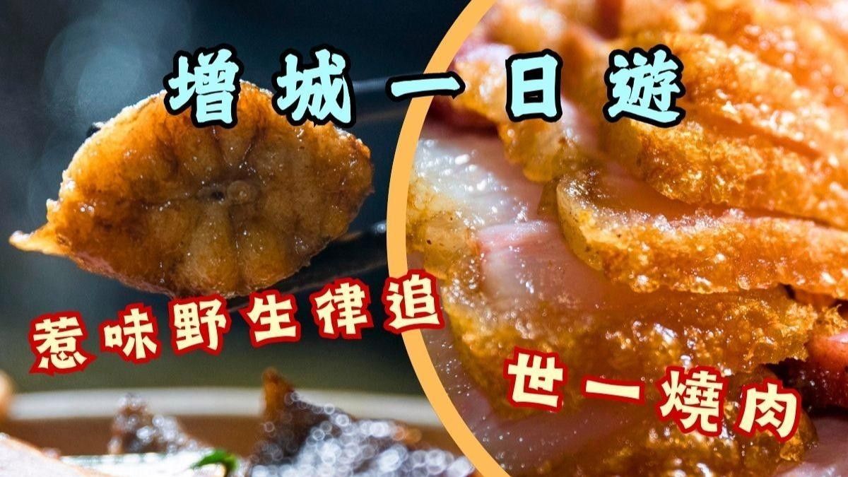 增城海鮮碼頭（增城海鮮碼頭哪個價格最實惠增城海鮮碼頭哪個價格最實惠）