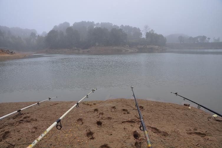 巨野釣魚的地方（山東省菏澤市巨野縣釣魚地點介紹）