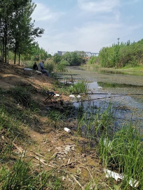 巨野釣魚的地方（山東省菏澤市巨野縣釣魚地點介紹）