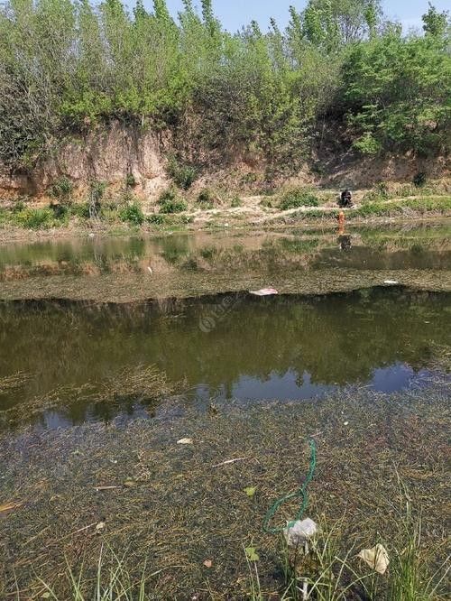 巨野釣魚的地方（山東省菏澤市巨野縣釣魚地點介紹）