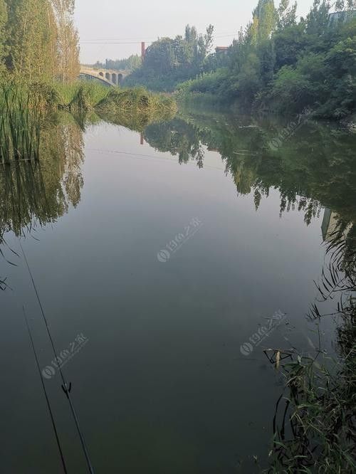 巨野釣魚的地方（山東省菏澤市巨野縣釣魚地點介紹）