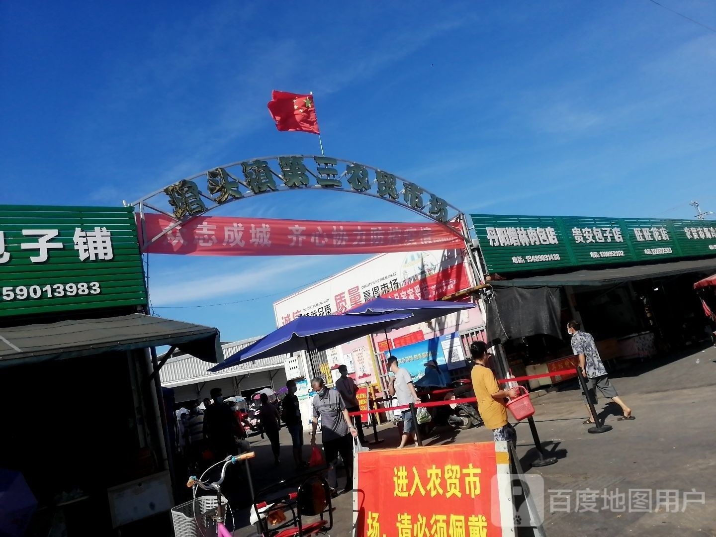 連江哪里有賣金魚