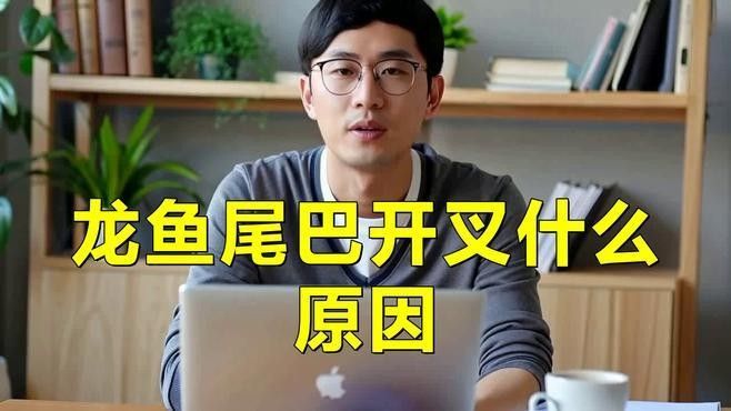 龍魚尾巴開叉什么原因（龍魚尾巴開叉可能是由多種原因引起的）