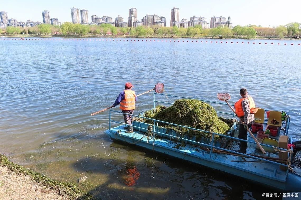 龍子湖可以釣魚嗎 龍子湖可以釣魚嗎 觀賞魚百科 第1張