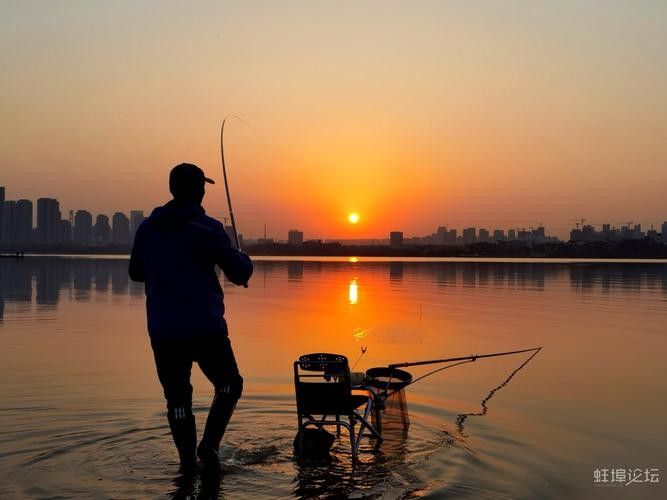 龍子湖可以釣魚嗎 龍子湖可以釣魚嗎 觀賞魚百科 第3張