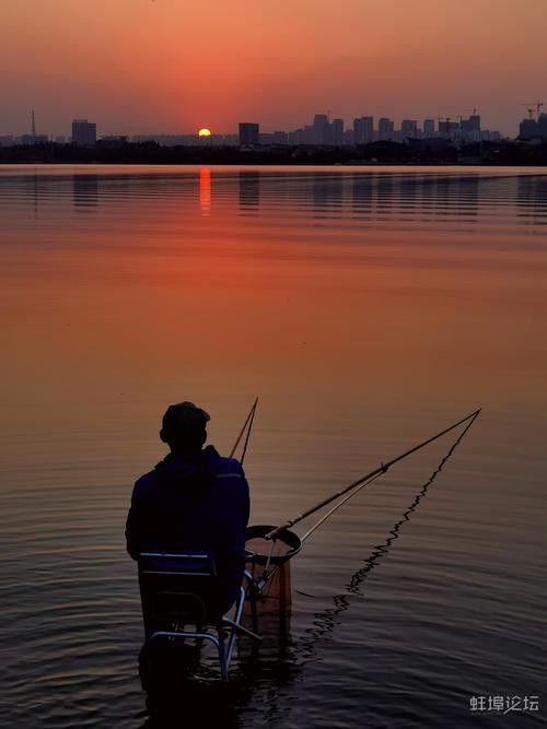 龍子湖可以釣魚嗎 龍子湖可以釣魚嗎 觀賞魚百科 第2張