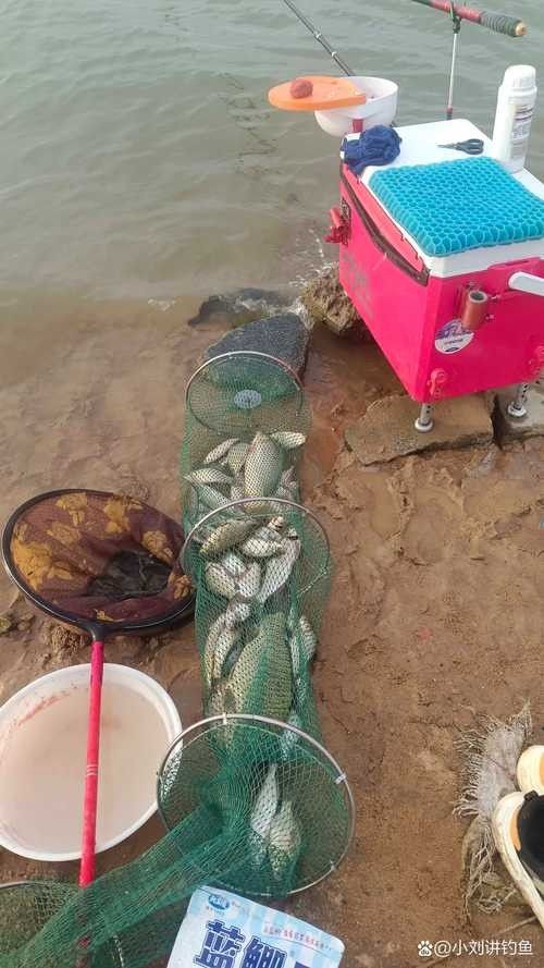 龍子湖可以釣魚嗎 龍子湖可以釣魚嗎 觀賞魚百科 第6張