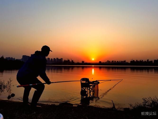 龍子湖可以釣魚嗎 龍子湖可以釣魚嗎 觀賞魚百科 第5張