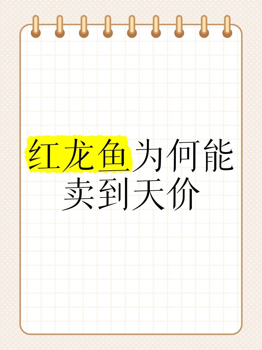 白化紅龍魚為什么價格高？（為什么白化紅龍魚價格高昂？）