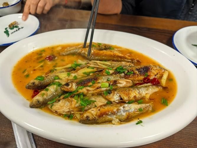 淅川哪里魚做的好吃（河南南陽淅川魚料理以其獨(dú)特的風(fēng)味和烹飪技巧而聞名）