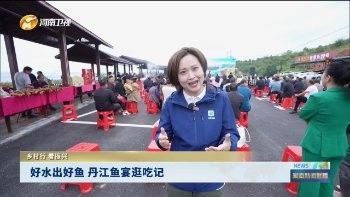 淅川哪里魚做的好吃（河南南陽淅川魚料理以其獨(dú)特的風(fēng)味和烹飪技巧而聞名）