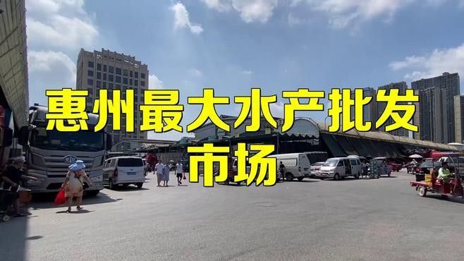 惠州淡水魚批發市場（惠州淡水魚批發市場分布在哪里蛋仔營地導師在哪里）