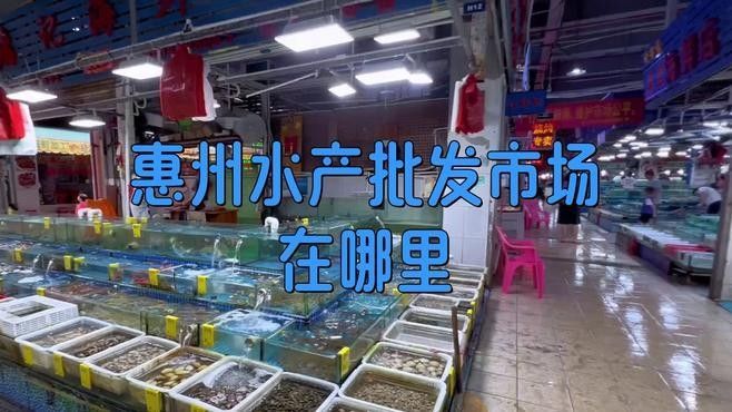 惠州淡水魚批發市場（惠州淡水魚批發市場分布在哪里蛋仔營地導師在哪里）