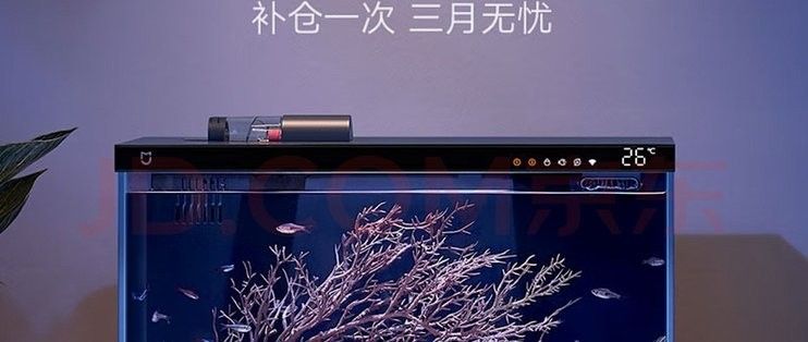 龍魚直立后如何檢測水質？（養魚“黃金標準”生活百科:零成本判斷魚缸水質好壞）