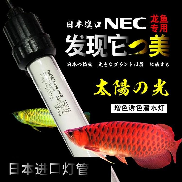 龍魚燈2700和6700價格比較（龍魚燈2700和6700k龍魚燈價格對比）