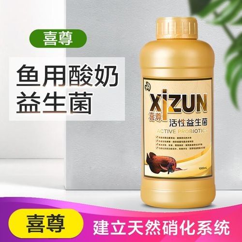 龍魚益生菌和維他命管用嗎（關(guān)于龍魚益生菌和維他命的一些問題）