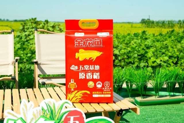 金龍魚五常原香稻系列有哪些產品