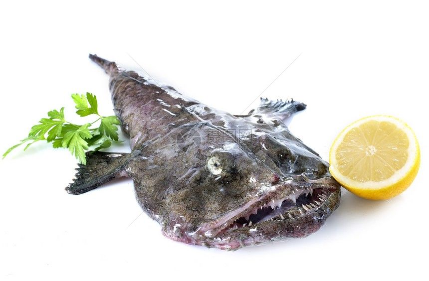 青島和尚魚(yú)又叫什么魚(yú)（收到！你想了解青島和尚魚(yú)的別稱(chēng)）