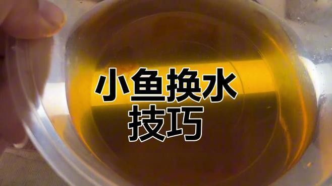孵化期間多久換一次水（孵化期間換水的頻率取決于多種因素） 孵化期間多久換一次水（孵化期間換水的頻率取決于多種因素） 龍魚百科 第1張