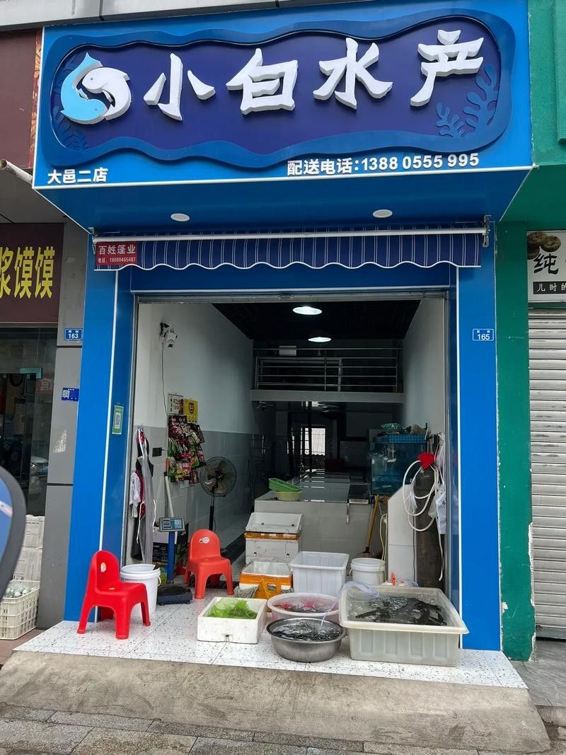 大邑縣哪里魚好吃 觀賞魚百科 第3張 大邑縣哪里魚好吃 大邑縣哪里魚好吃 觀賞魚百科 第3張