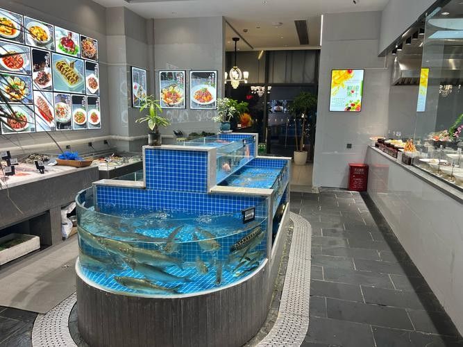 大邑縣哪里魚好吃 觀賞魚百科 第1張 大邑縣哪里魚好吃 大邑縣哪里魚好吃 觀賞魚百科 第1張
