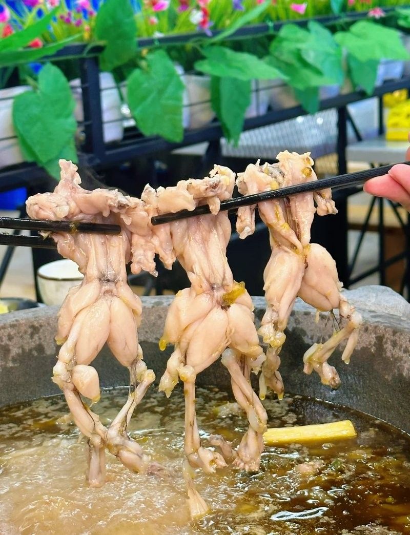 大邑縣哪里魚好吃 大邑縣哪里魚好吃 觀賞魚百科 第7張