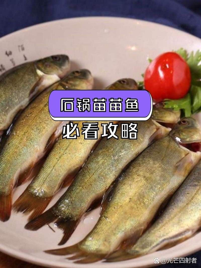 大邑縣哪里魚好吃 大邑縣哪里魚好吃 觀賞魚百科 第8張