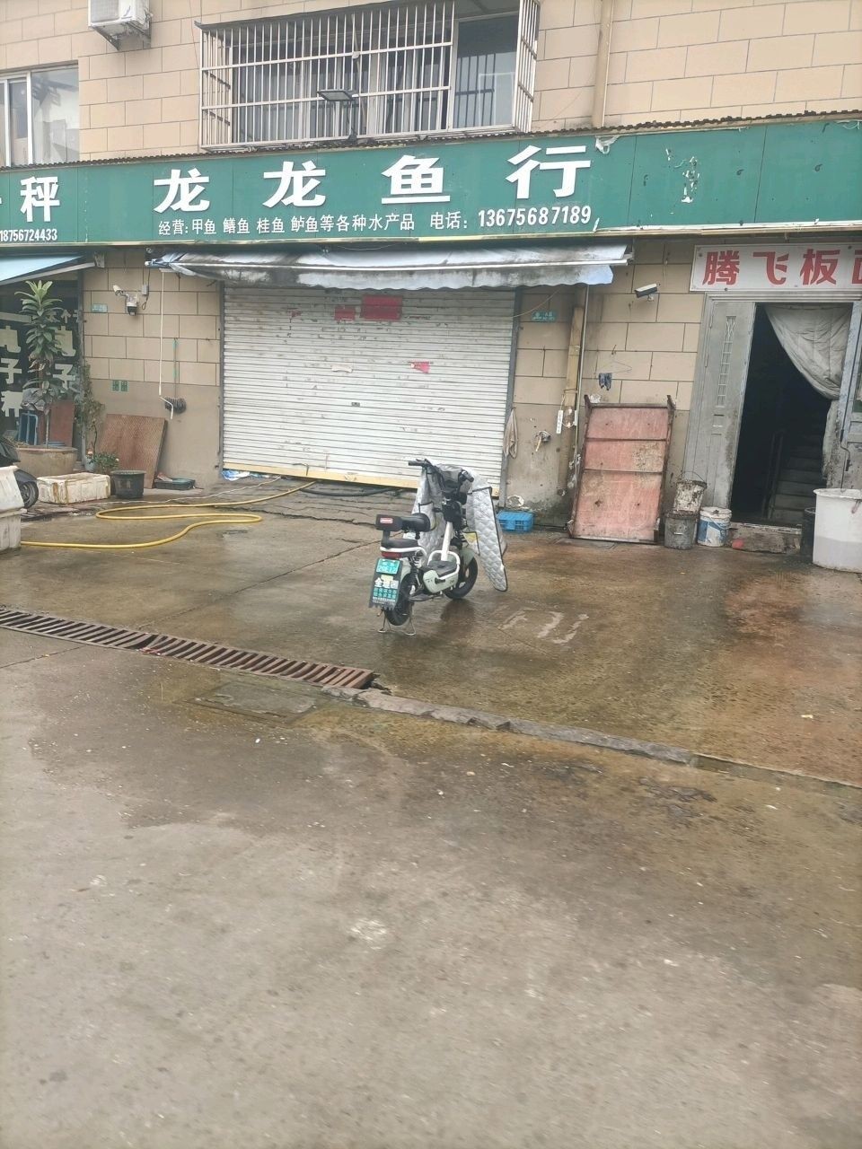 安徽龍魚（安徽龍魚有哪些品種？） 安徽龍魚（安徽龍魚有哪些品種？） 觀賞魚百科 第1張