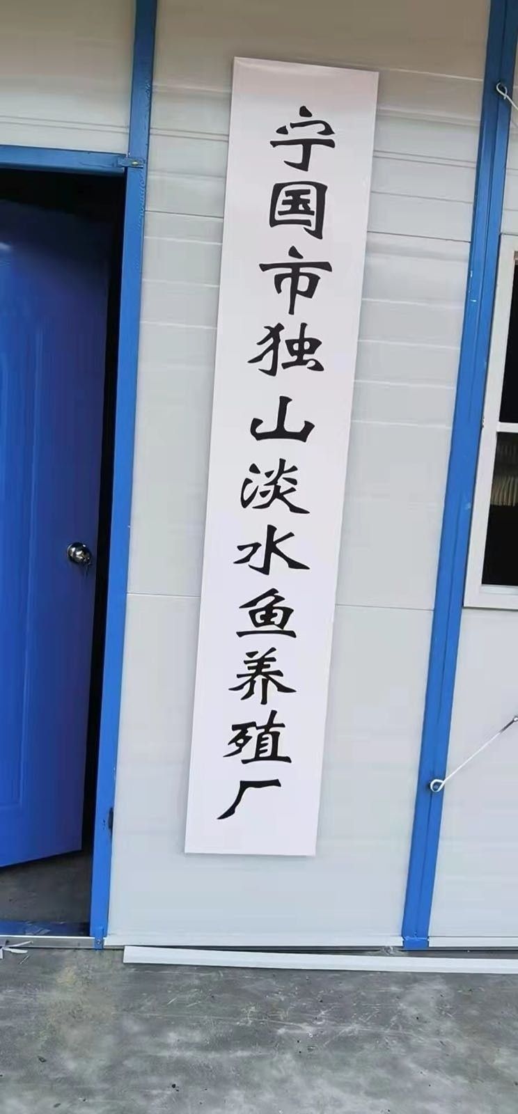 安徽龍魚（安徽龍魚有哪些品種？） 安徽龍魚（安徽龍魚有哪些品種？） 觀賞魚百科 第2張