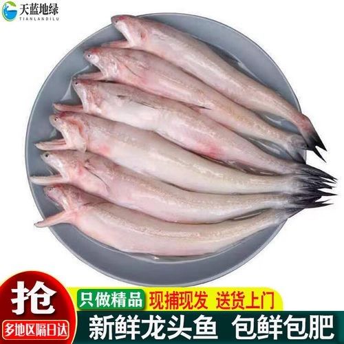 青龍龍魚價格多少（十大最好養的龍魚排名proontario展開）