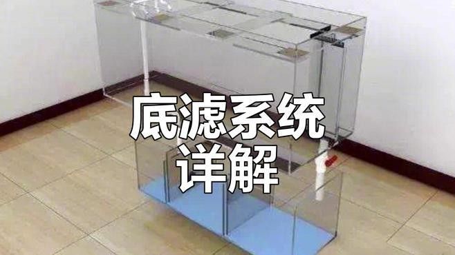 龍魚缸底濾系統(tǒng)如何設(shè)計
