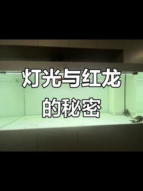 紅龍燈具角度調整實例